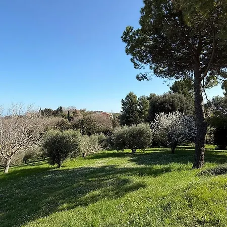 Chalet Pp02 - Potenza Picena, Affascinante Con Vista Mare